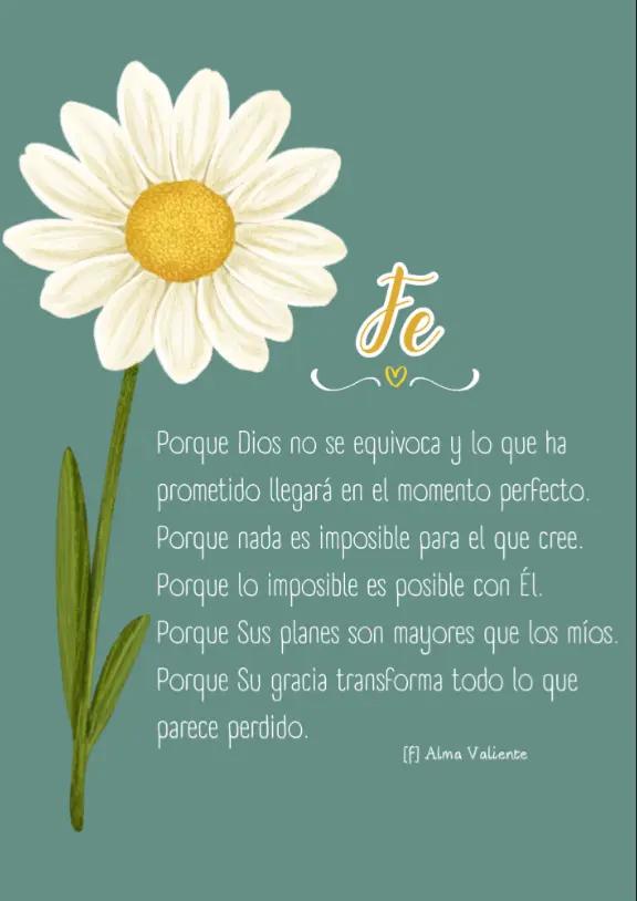@Rodr&iacute;guez❤️🙇