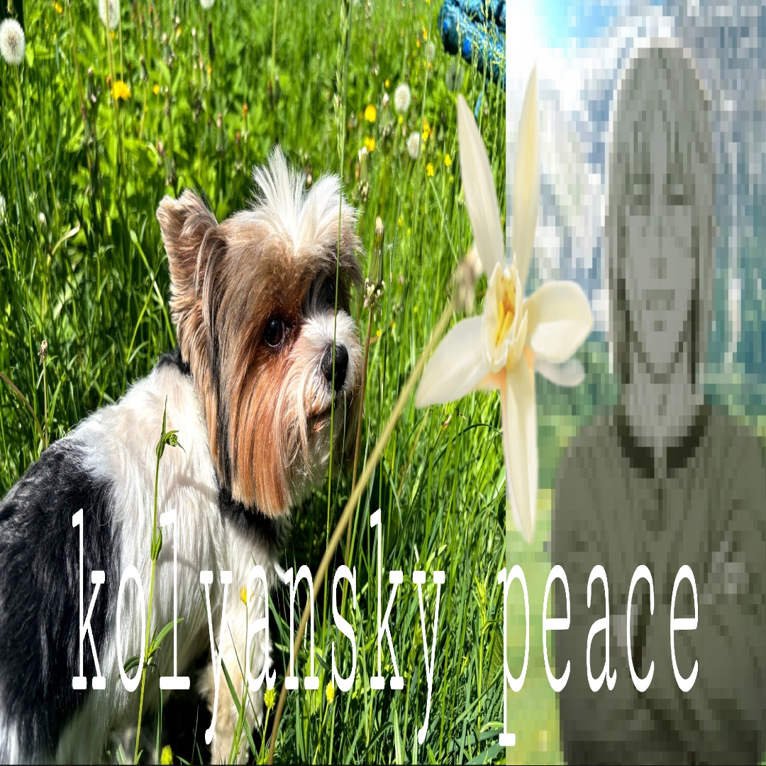 @user333