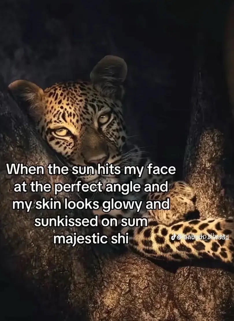 @Janiyah 🫶🏼