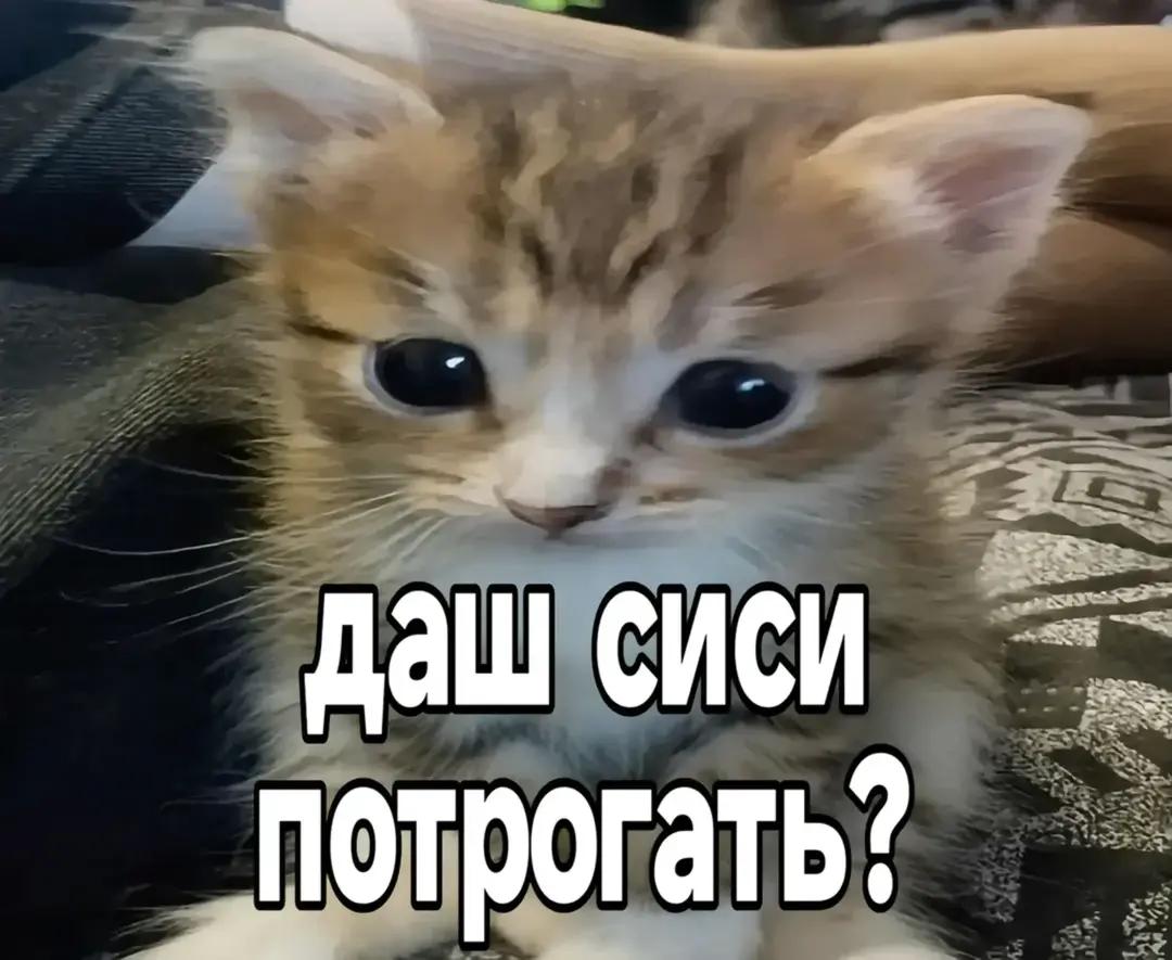 @люблю Полину♥️♥️♥️