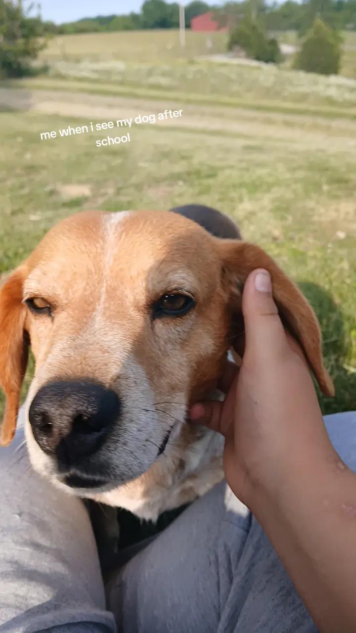 @Riley.benedict 6741