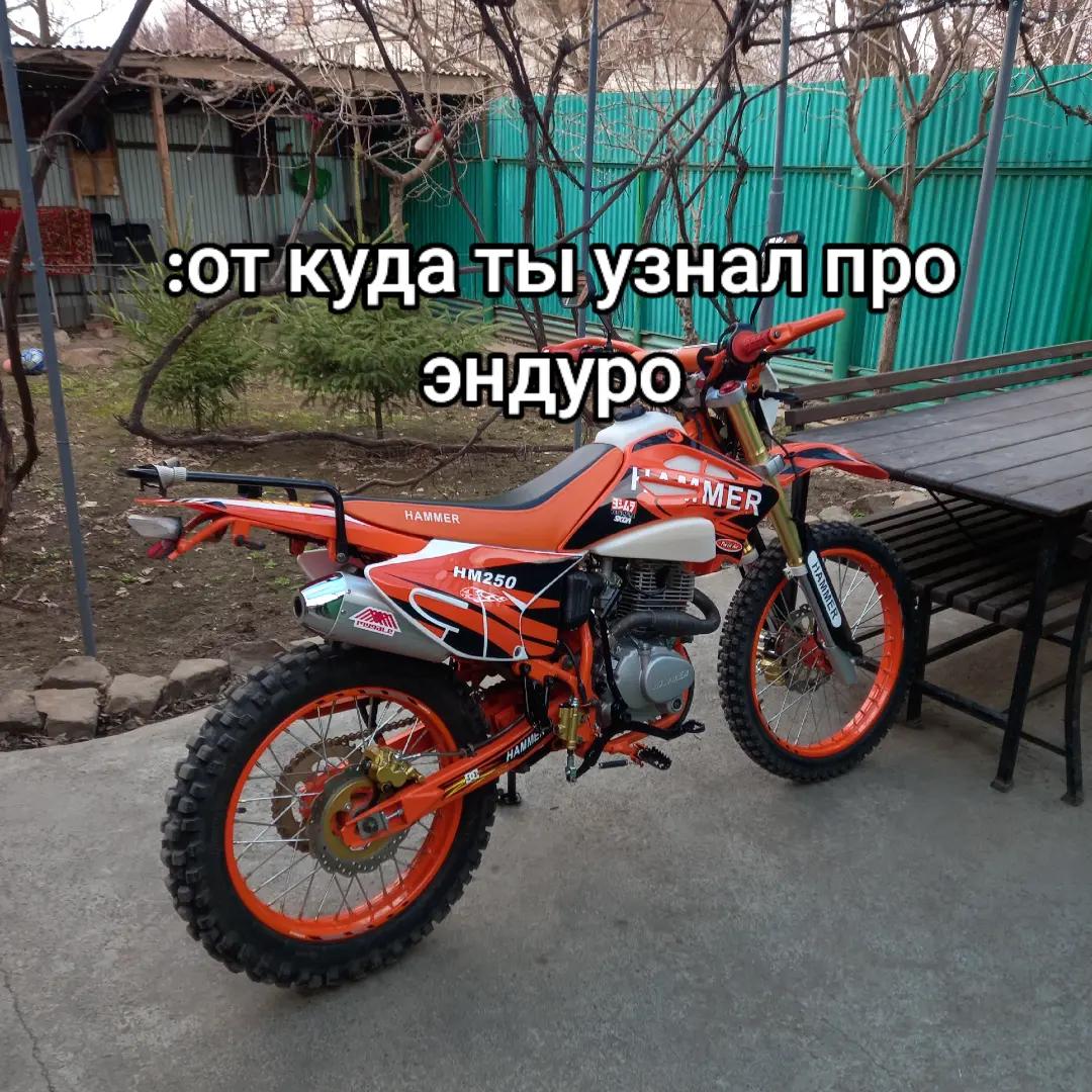 @Pilot_250