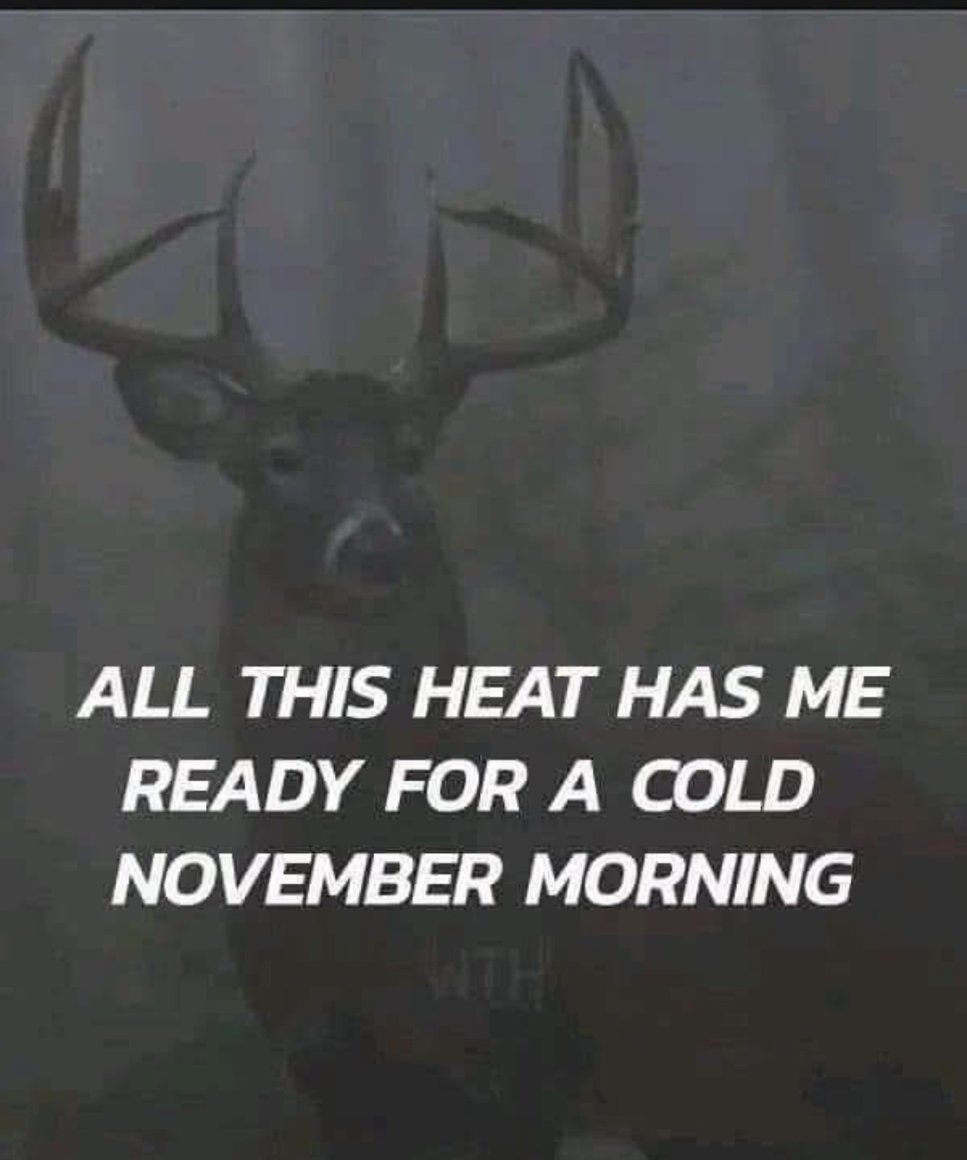 @🏍️ 🌲JasonB1985 🦌🎣✨