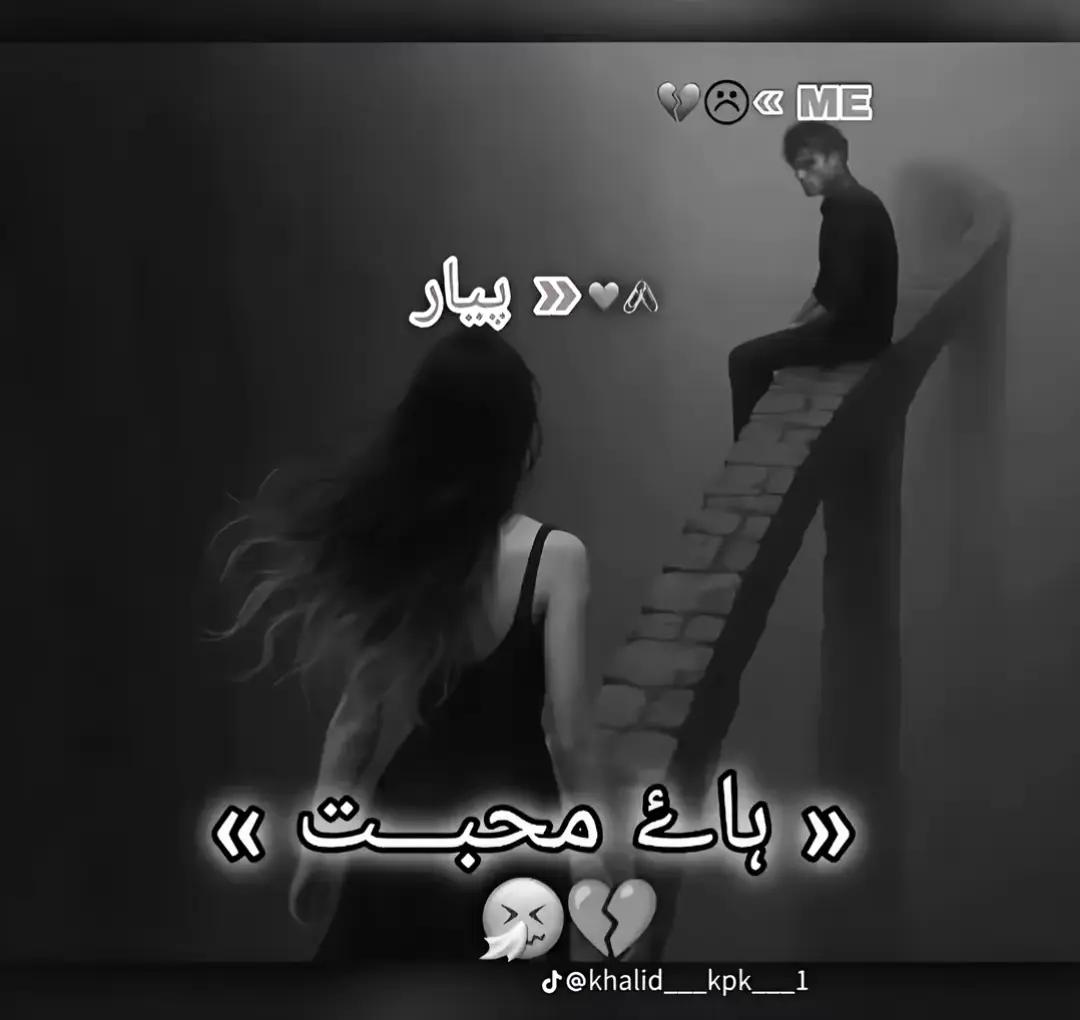 @Shahad Zafar