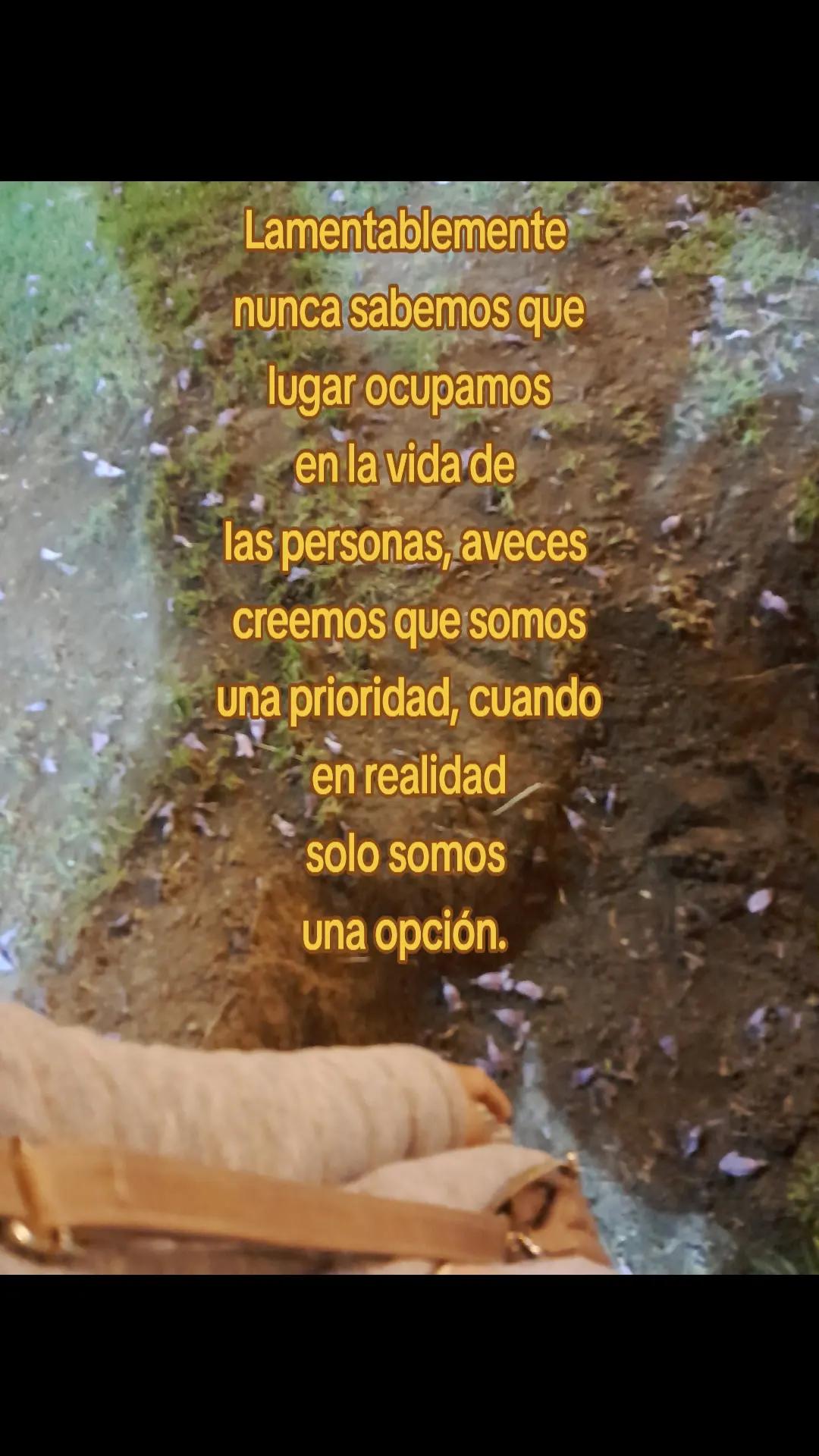 @Soledad 🧚🏻✨