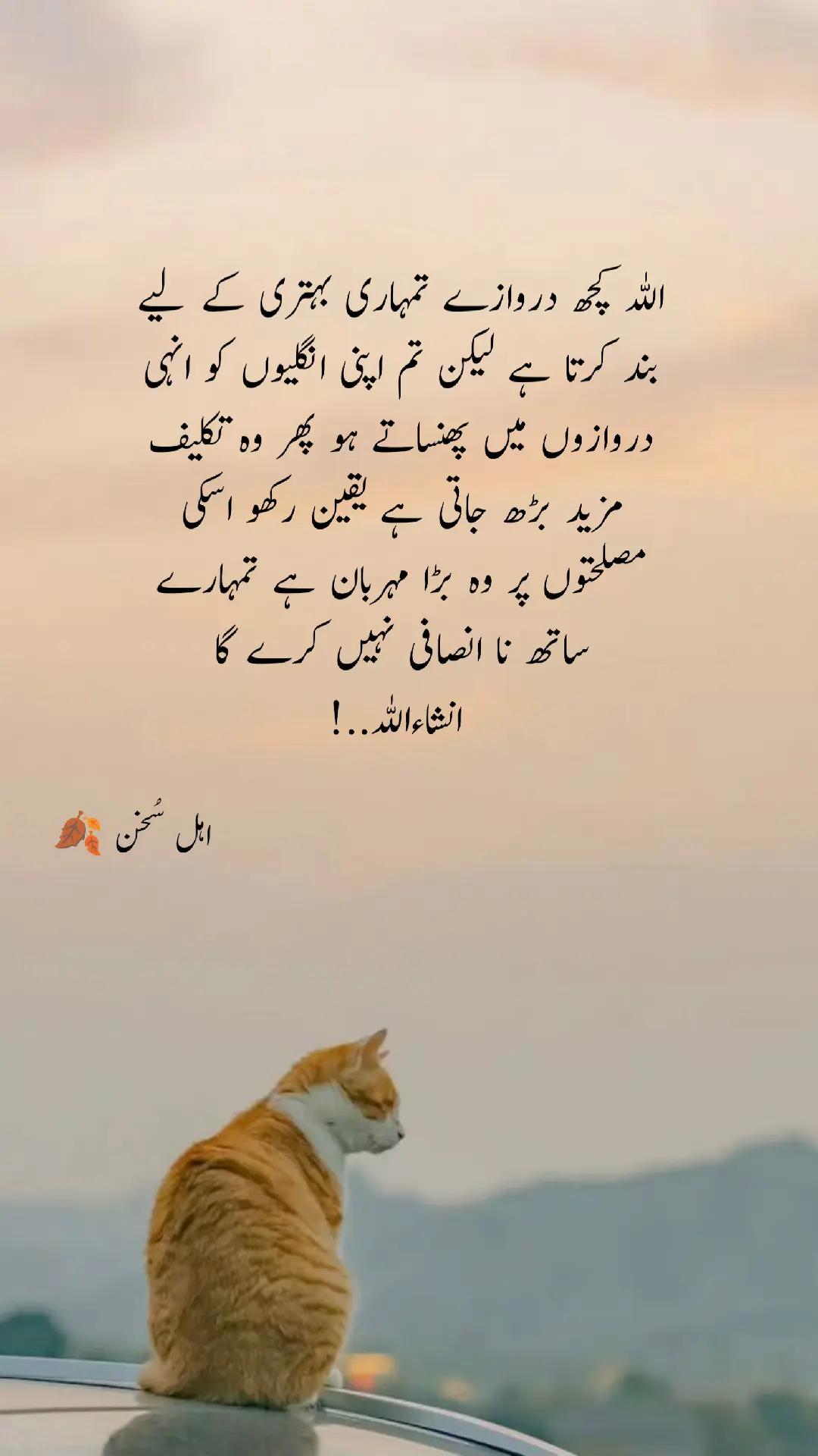 @اہل سخن 🍂