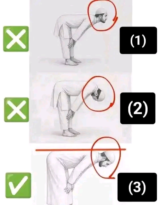 @ุดุนูุจ๐๐ท