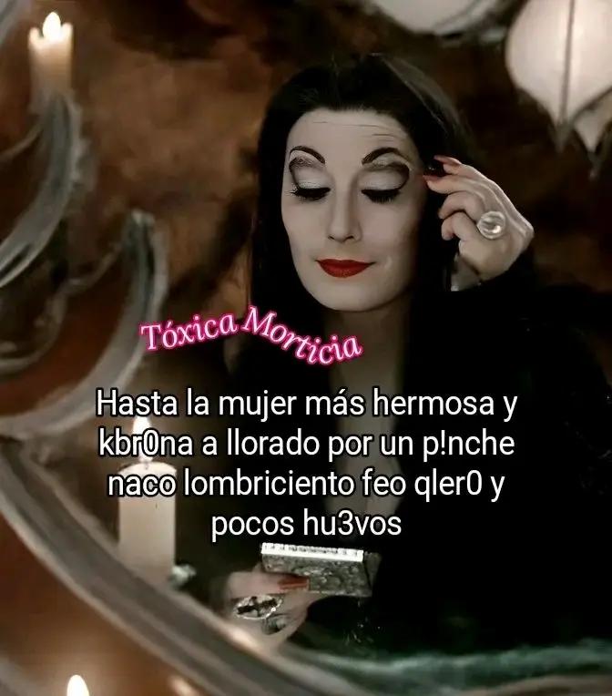 @😻 Gatita ♋cancer17 🍀🫥🤎