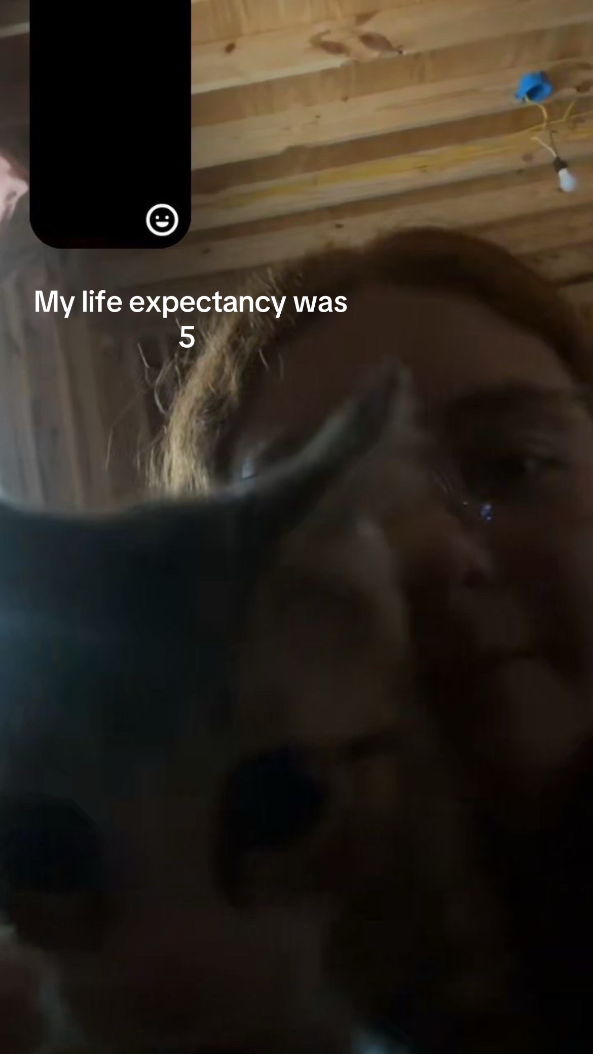 @sk3letons