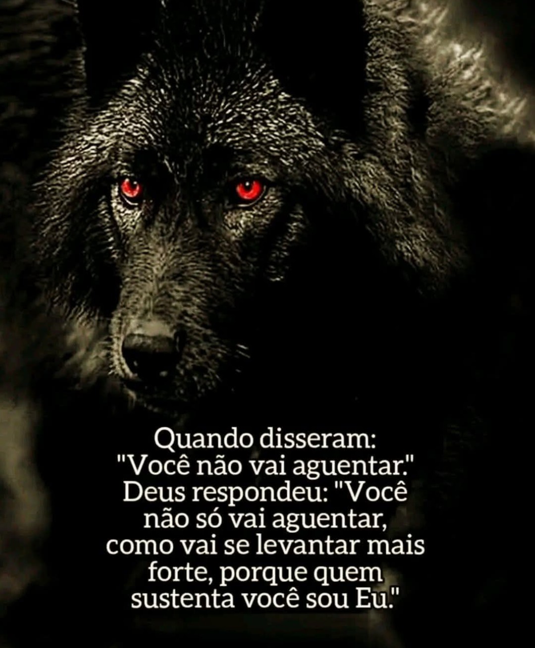 @Ivoneide Carvalho⚘🥰