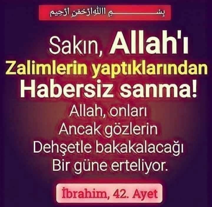 @DÜNYA BURASİ NE ARASAN İÇİNDE