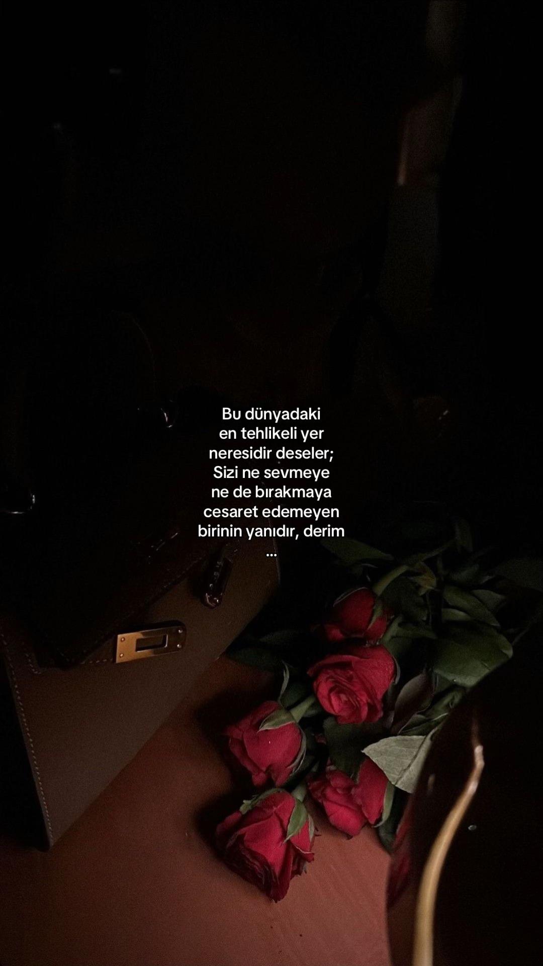 @𝓔𝓵𝓲𝓯