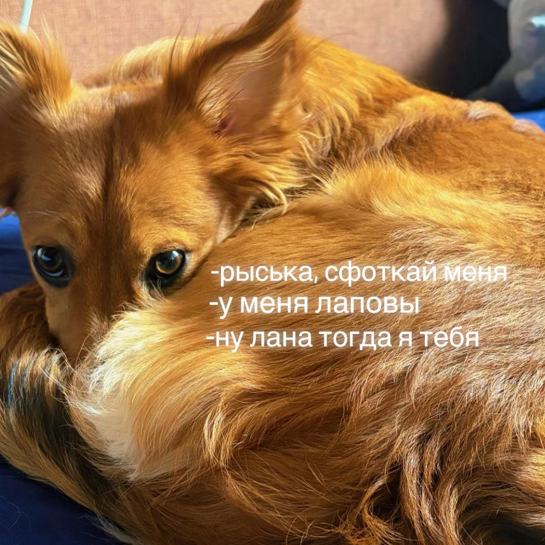 @nunyashe4ka