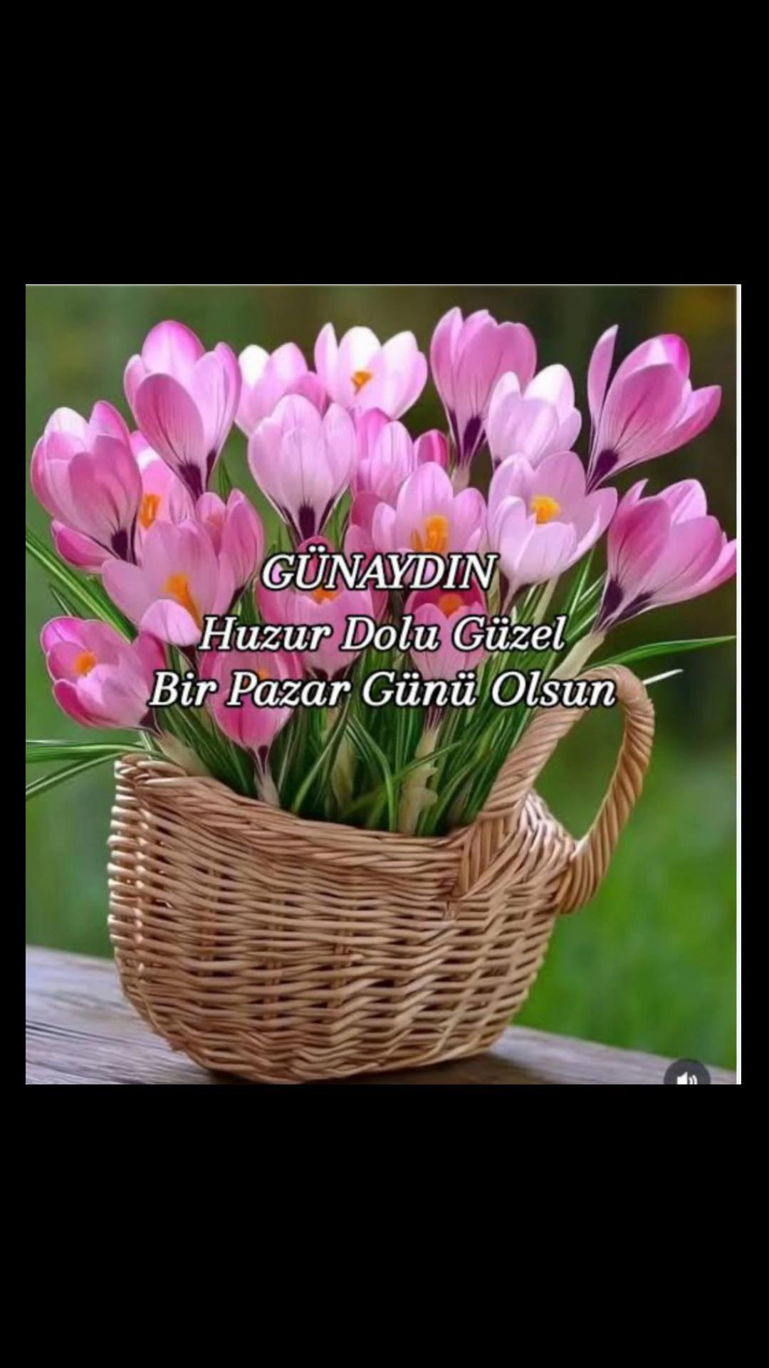@G&uuml;lcan