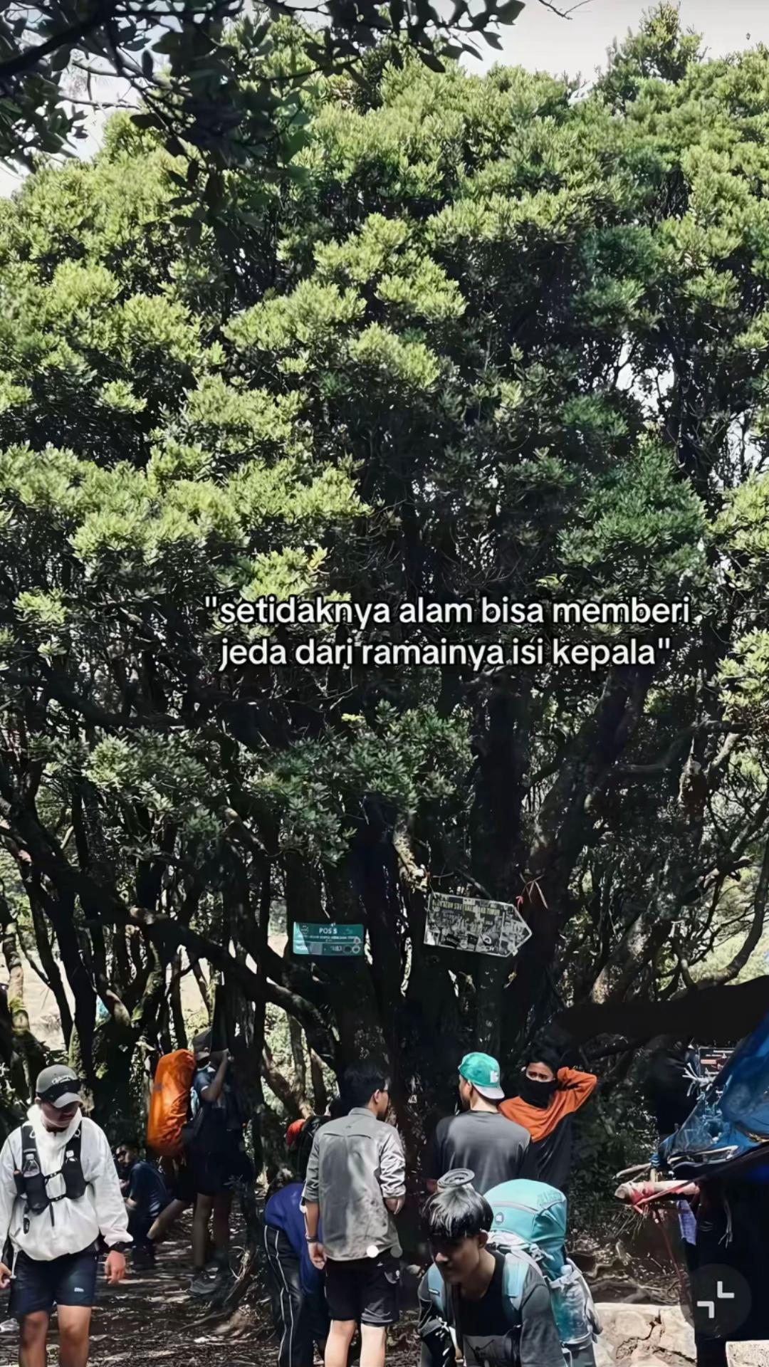 @mchsyhrl