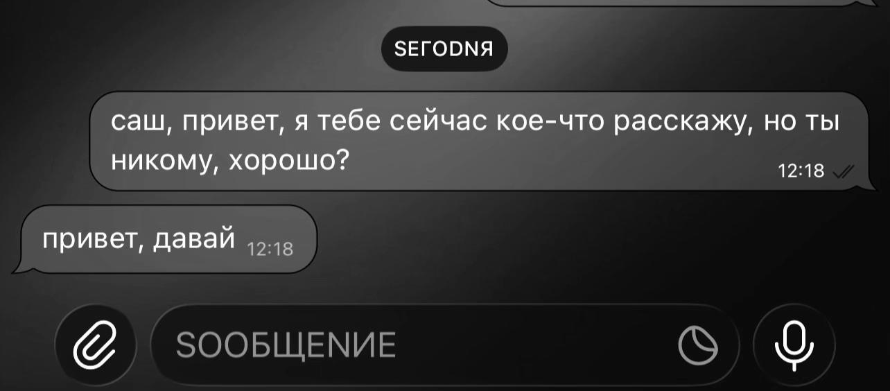 @соня квирикс