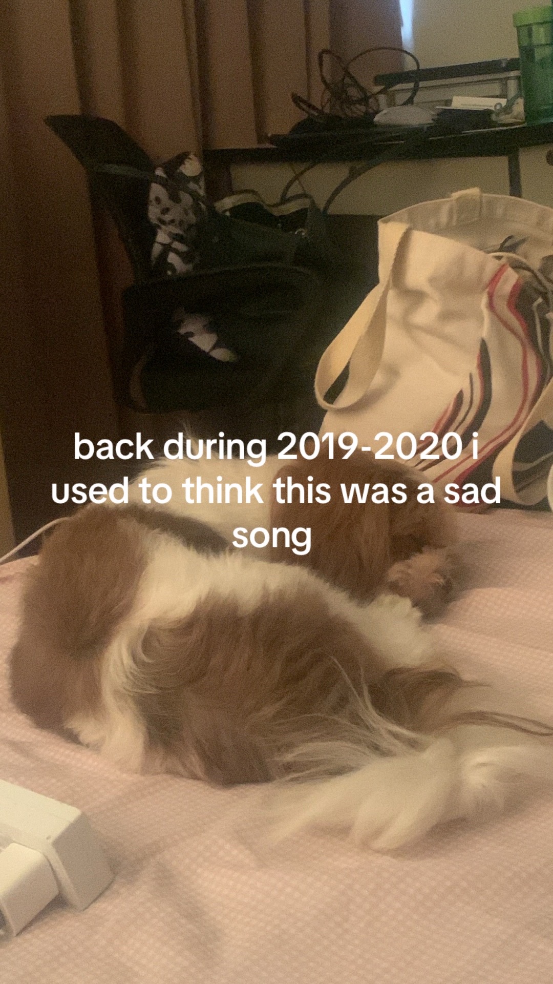@洋娃娃