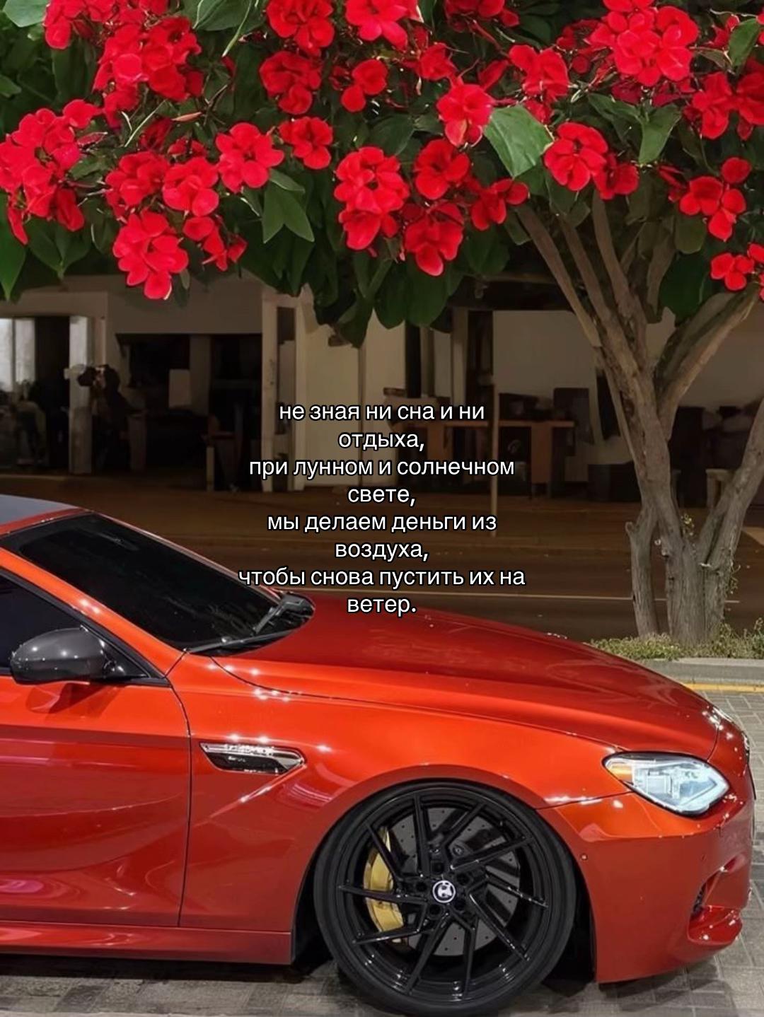@𝑨/𝑿
