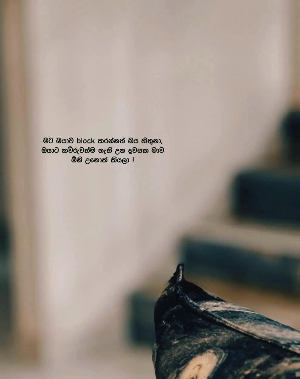 @𝐌𝐚𝐋𝐬𝐇𝐢 💕