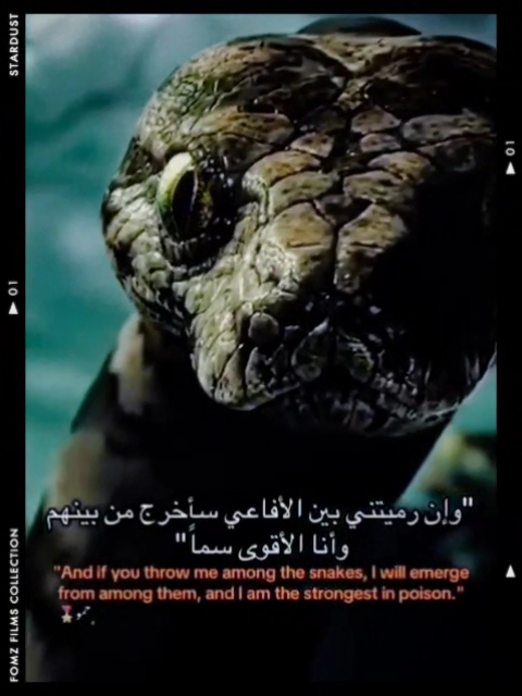 @عٌبًدٍأّلَلَهّـ🧑🏭
