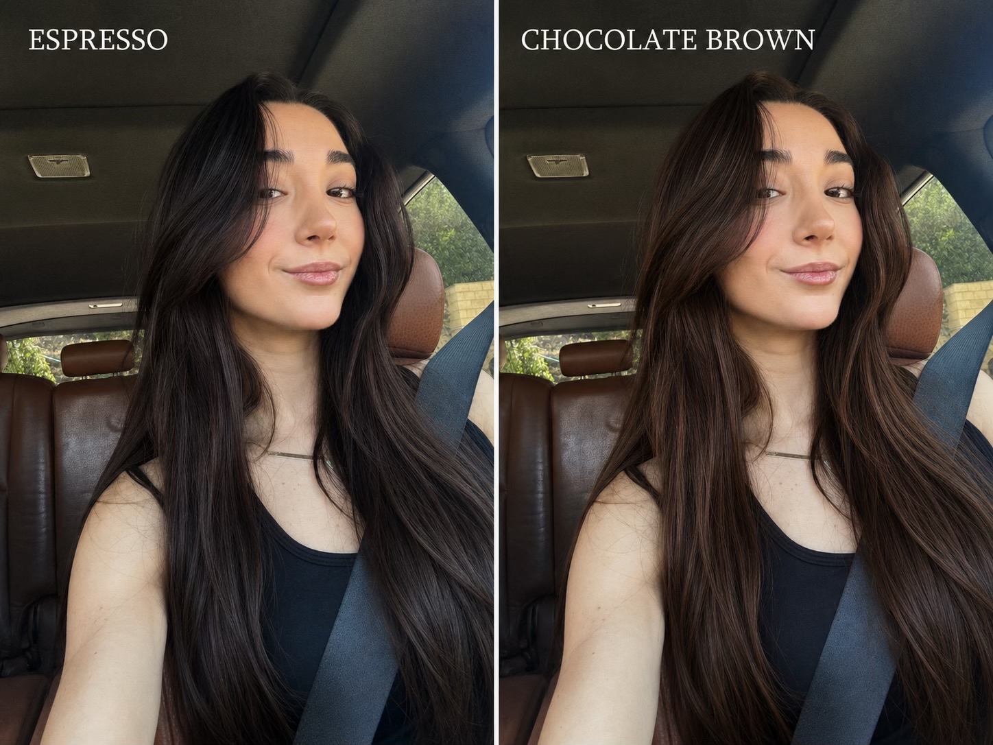 @Violette Mezraany