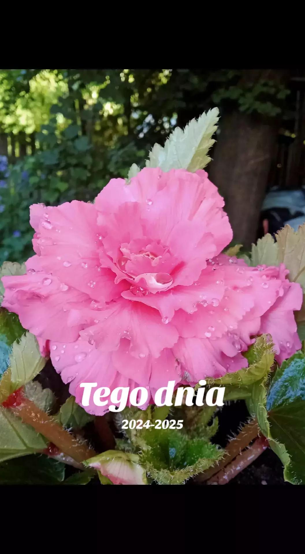 @Jaskółeczka 💫💫💫💫