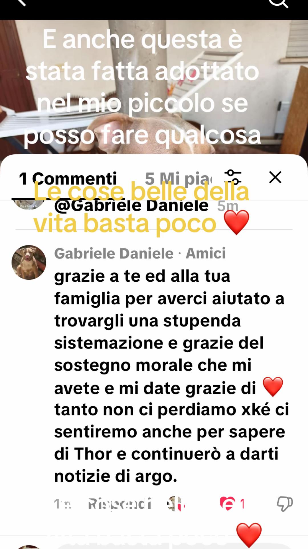 @Thor alessandra Simone