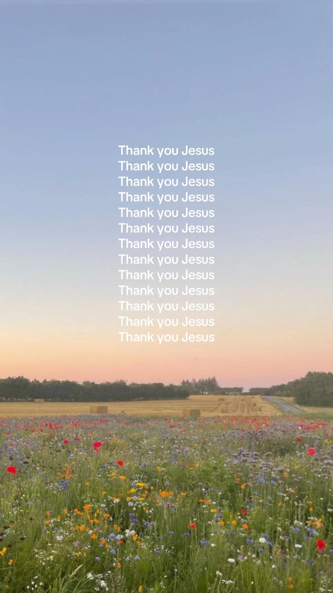 @🦋
