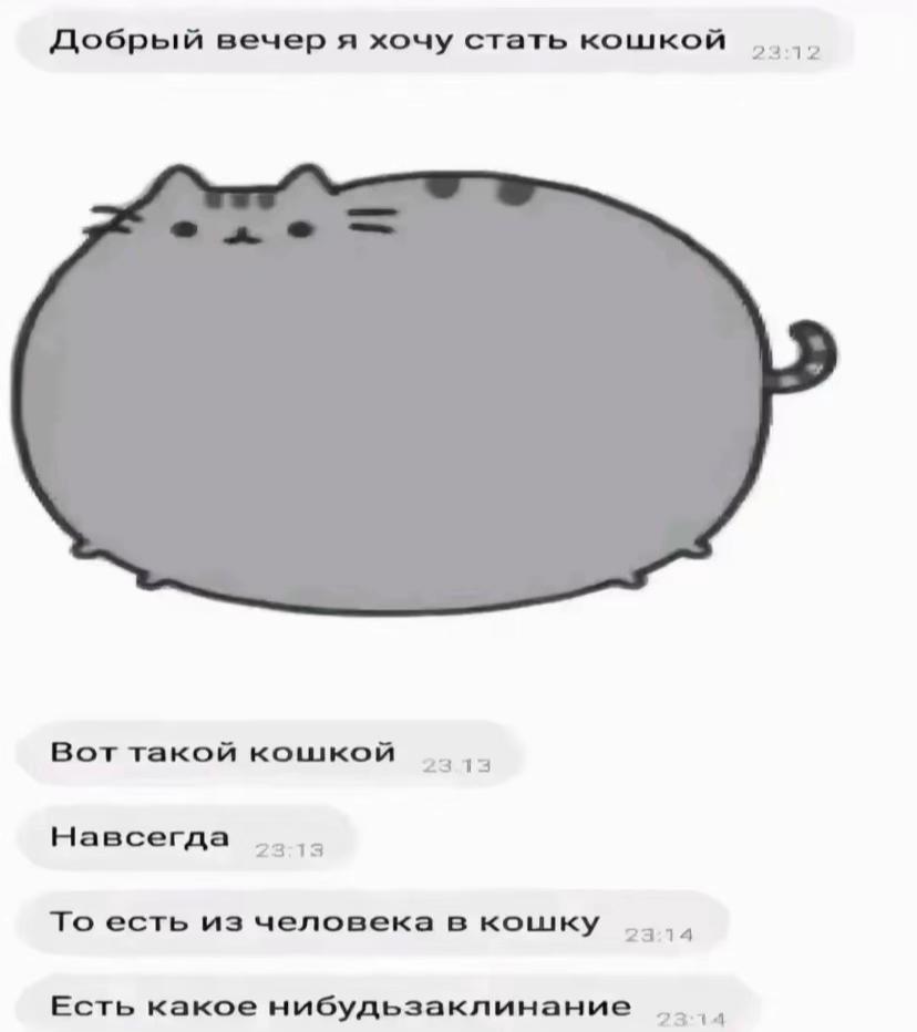 @𝐍𝐢𝐫𝐨𝐰𝐲𝐳 🛤️