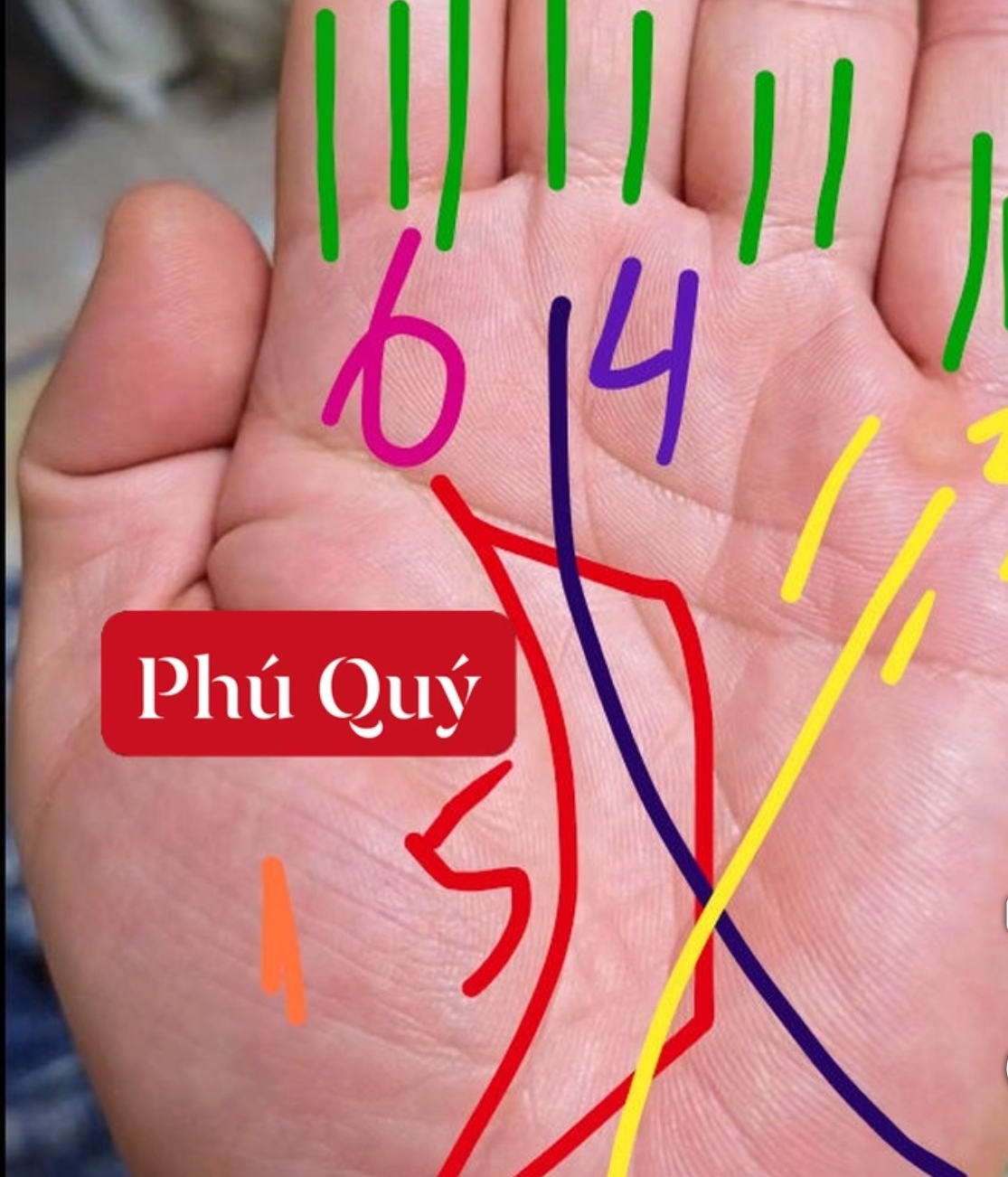 @Nhân Tướng Hiểu Mình