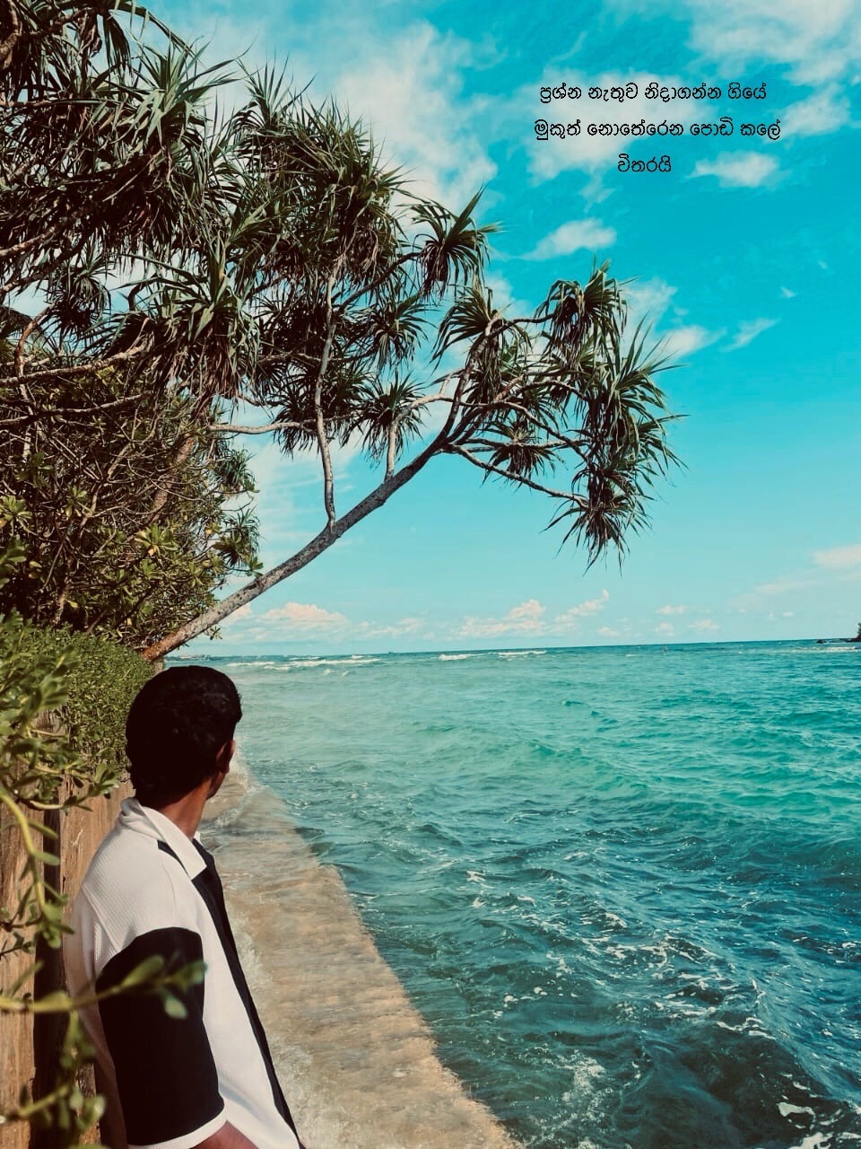 @𝐂>>[08.29]🫀🪽