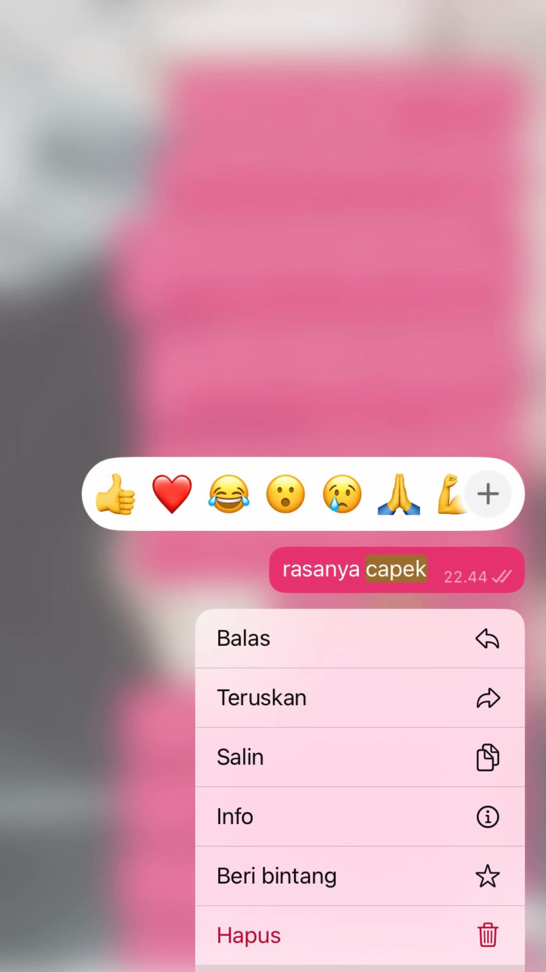 @nisottt.