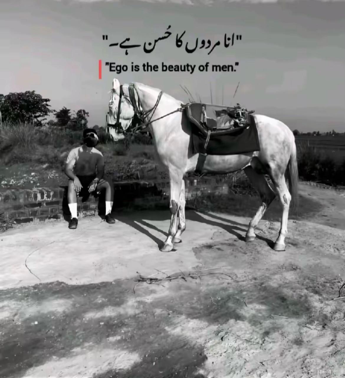 @thefarooqaslam