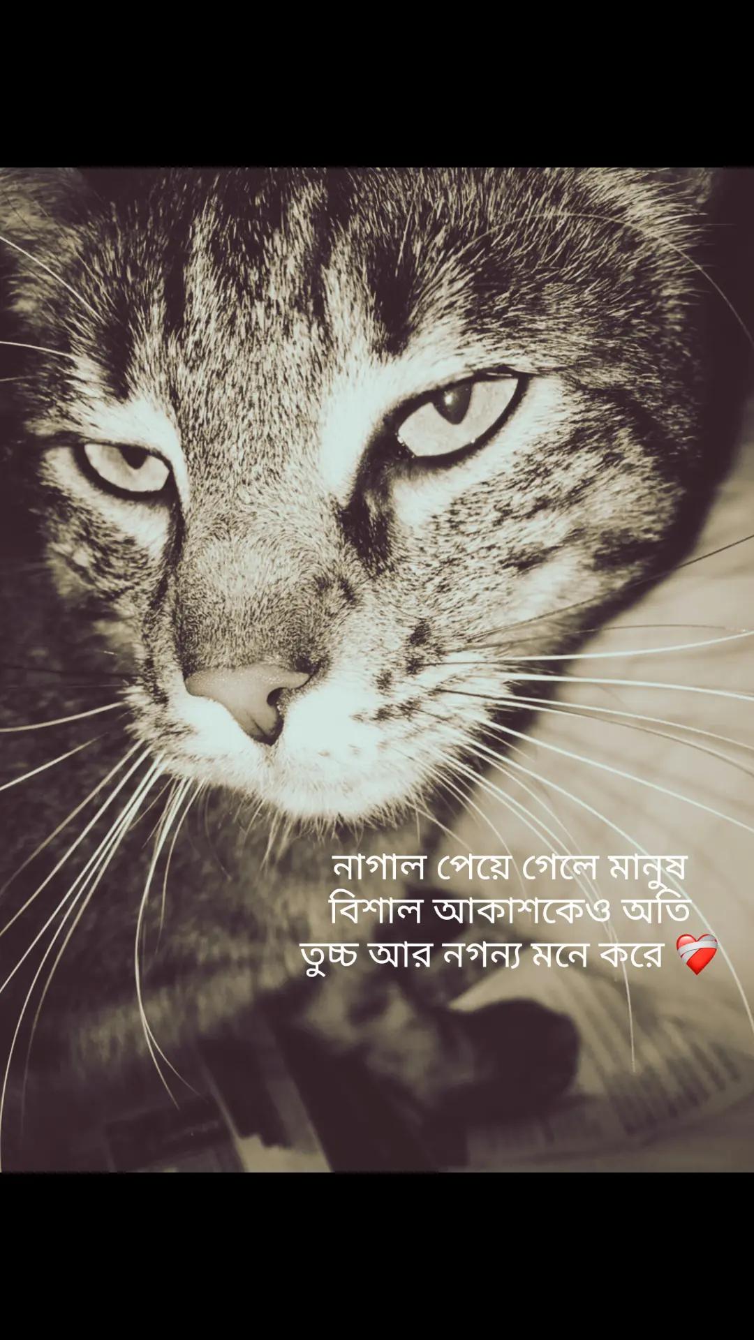 @Tamuuđ