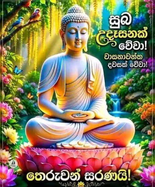 @prasanna