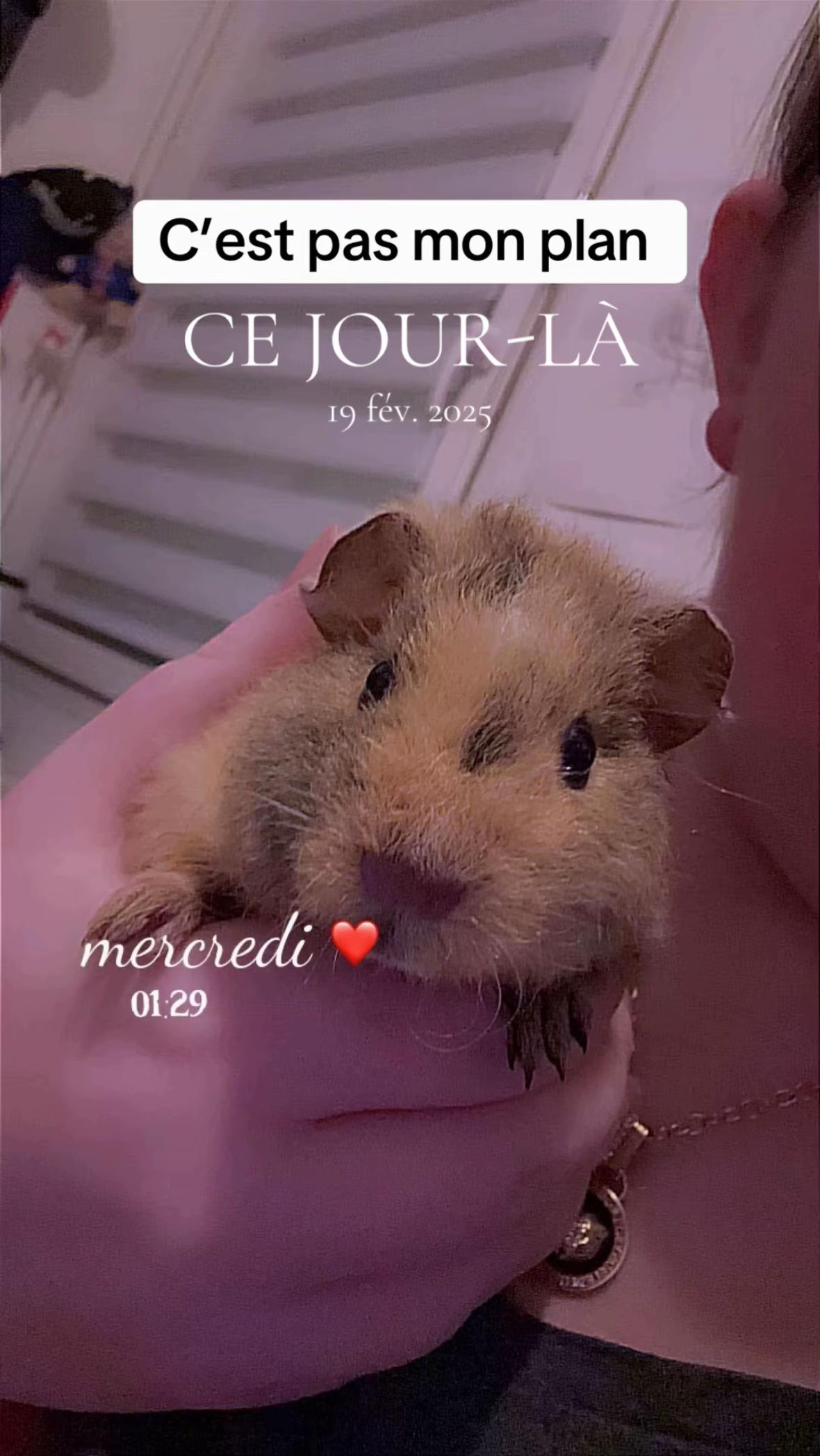 @🐥𝓒𝓵𝓪𝓻𝓪 𝓖𝓸𝓻𝓰𝓮𝓼✨