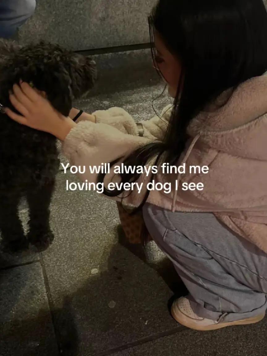 @rachel ૮ ˶ᵔ ᵕ ᵔ˶ ა