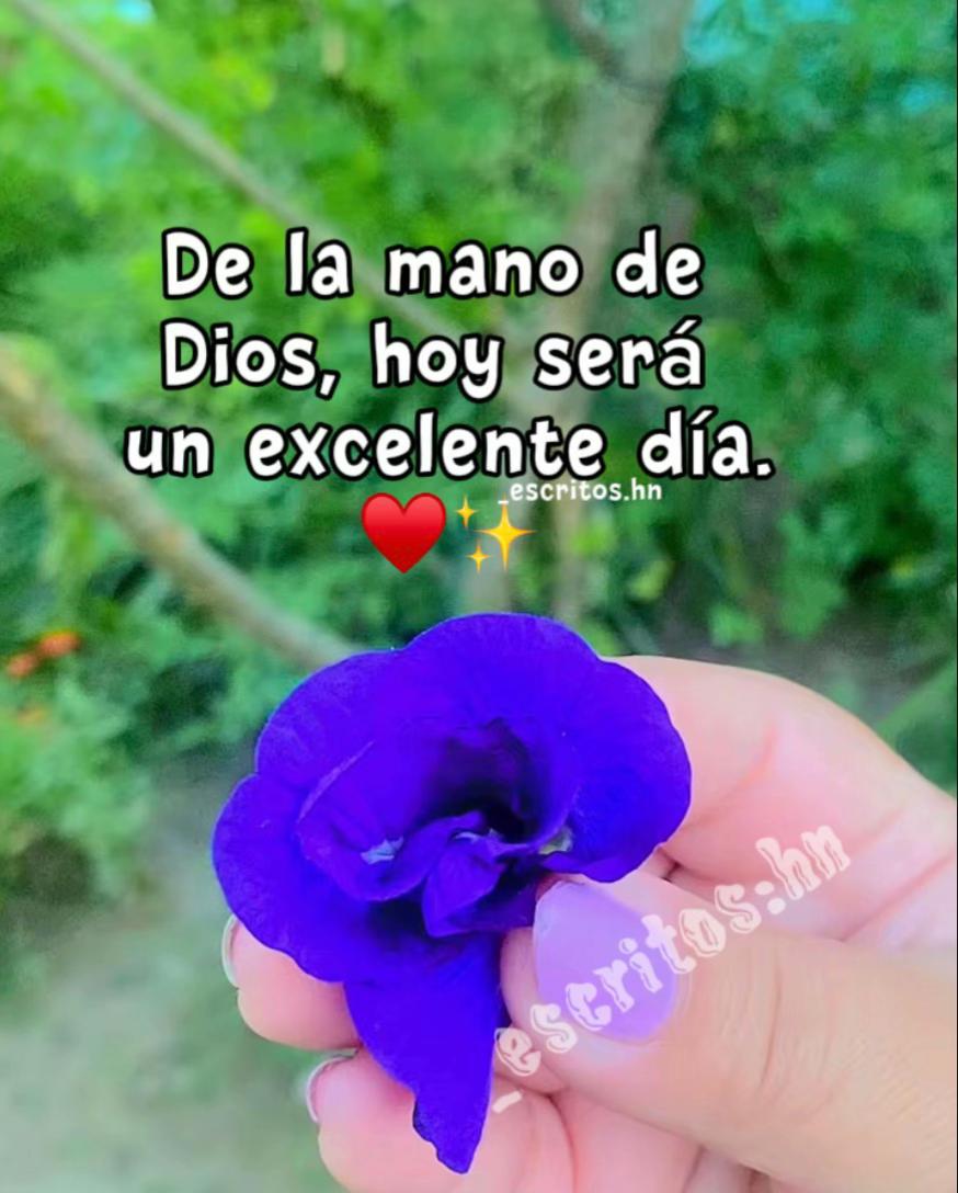 @_𝓮𝓼𝓬𝓻𝓲𝓽𝓸𝓼.𝓱𝓷 ♥