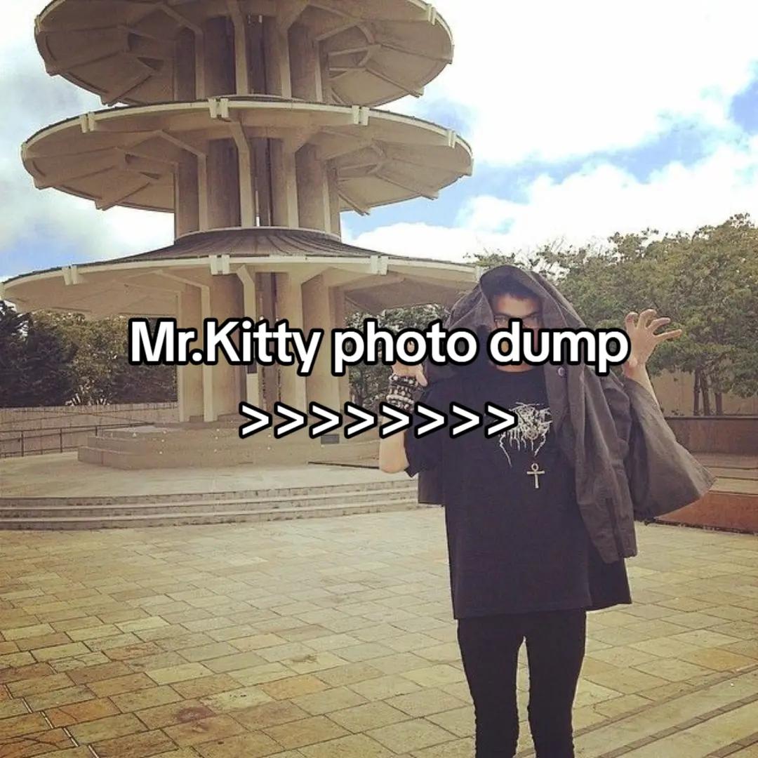 @Daily Mr.Kitty