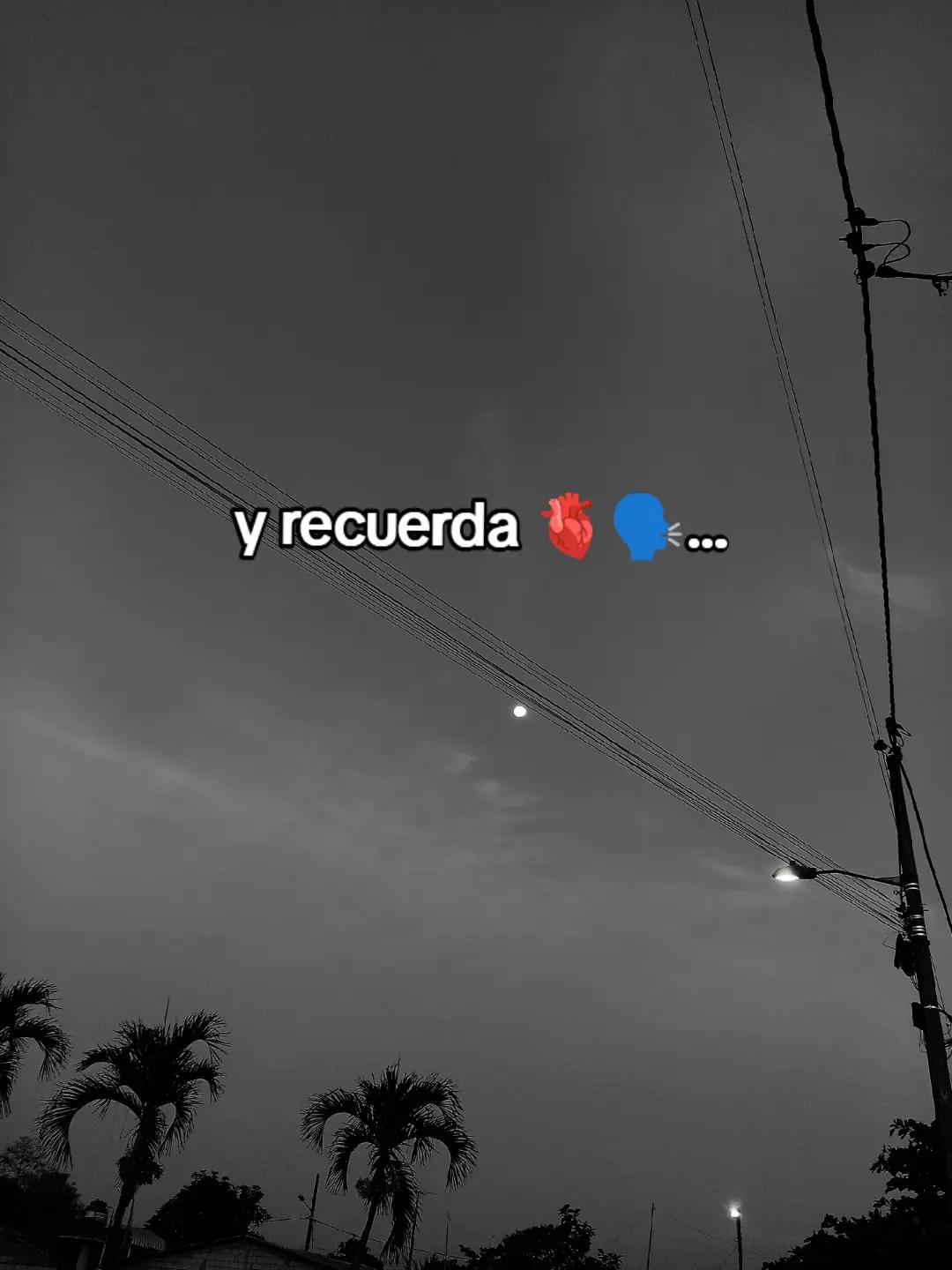 @彡★🍓🧸Luis S&aacute;nchez Http🧸🍓★彡