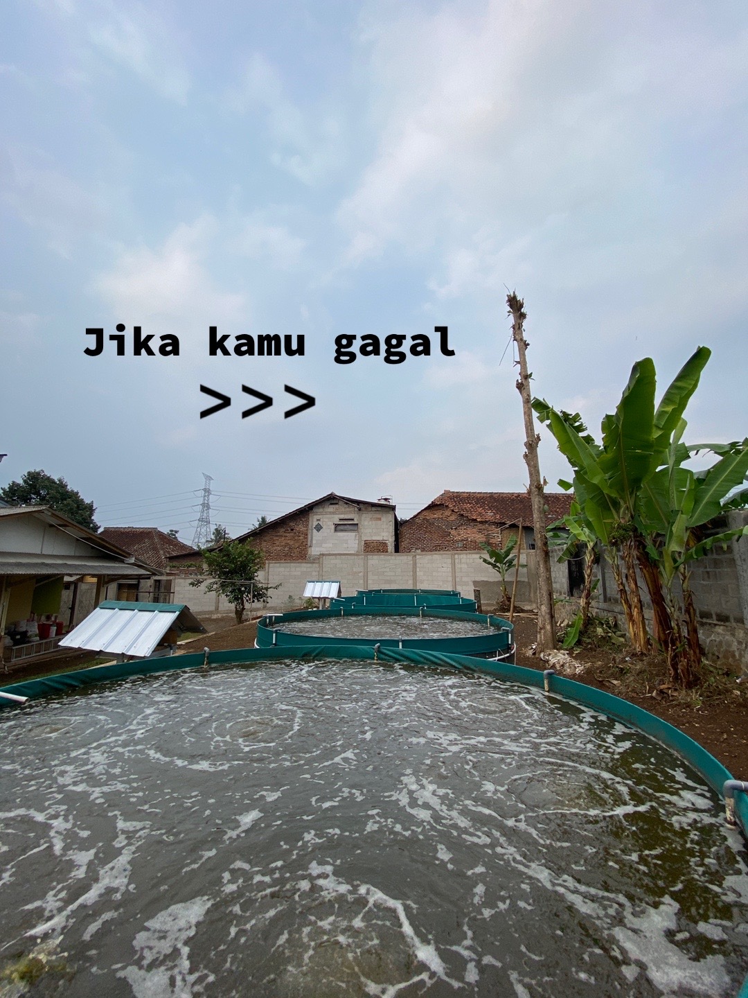 @Berkah Jaya Fish Farm