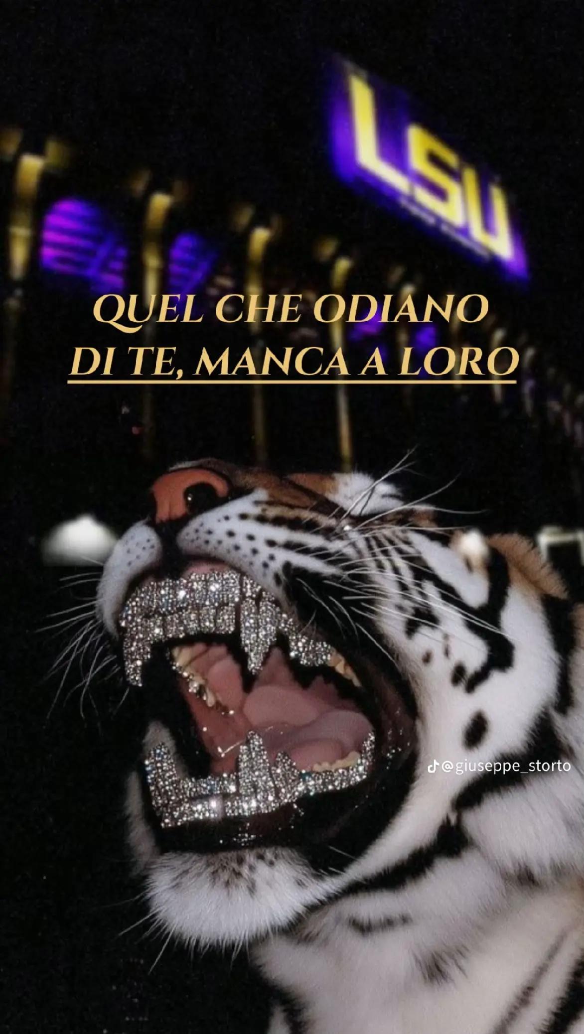 @_o_deviv_priv_