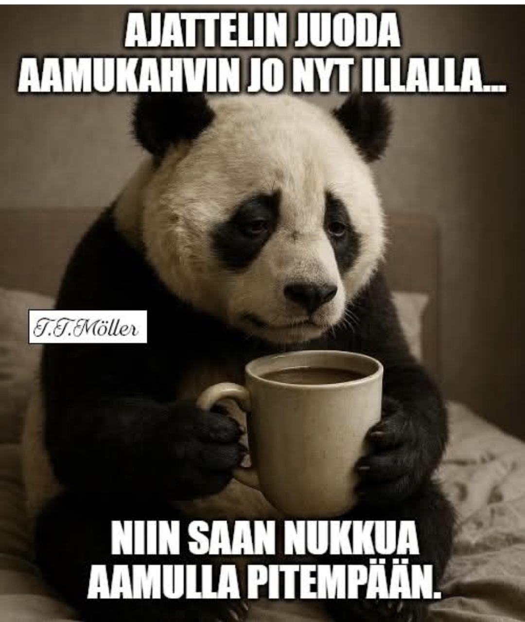 @majatar