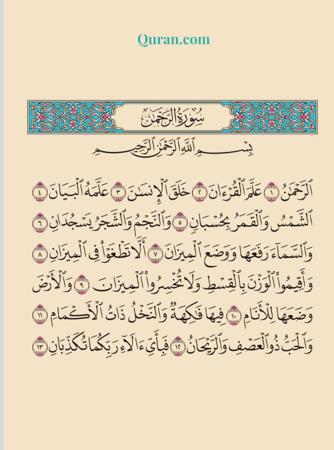 @FAHAD HAJI 🧍🏻&zwj;♂️