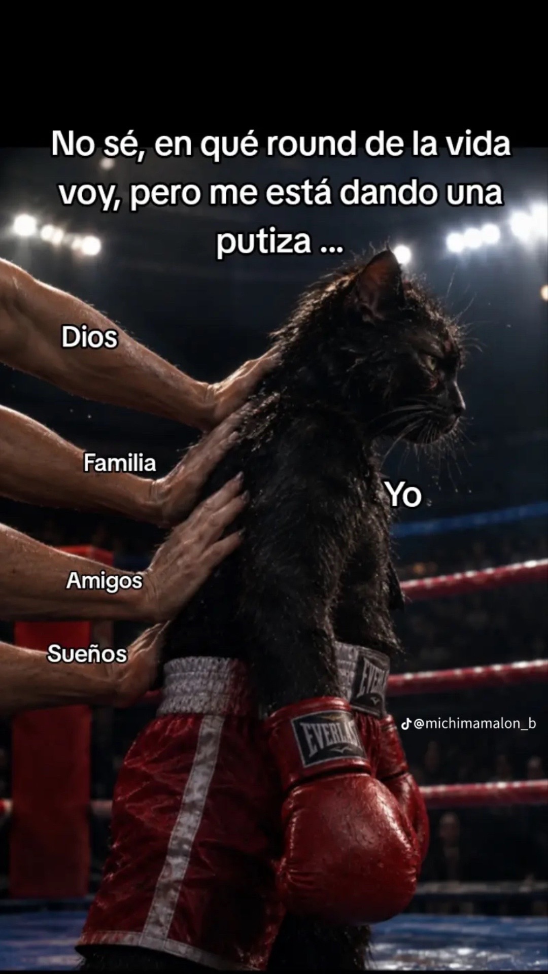 @🖤Butter cup Y🎶