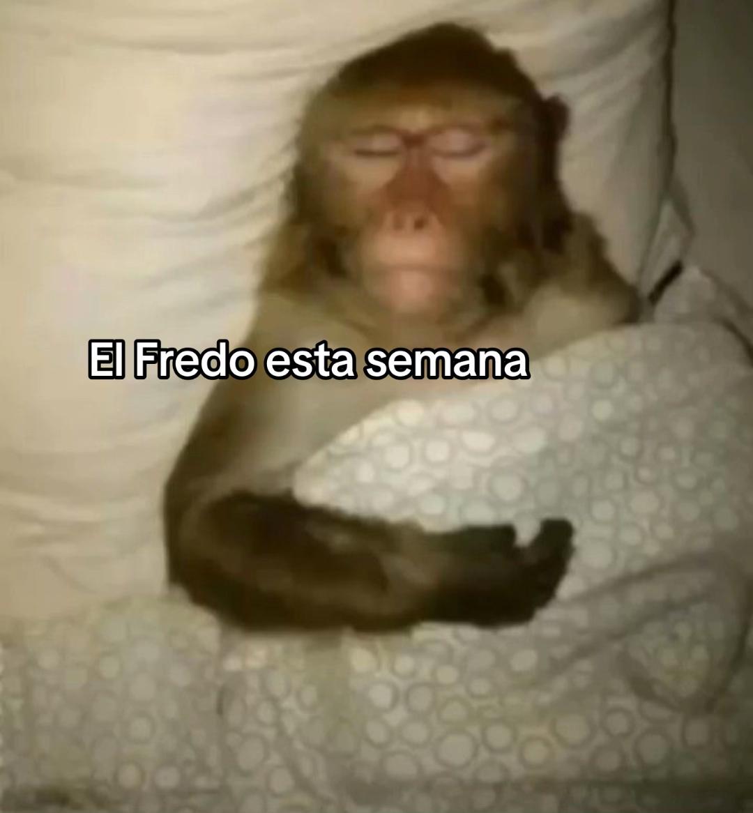 @Desconocida