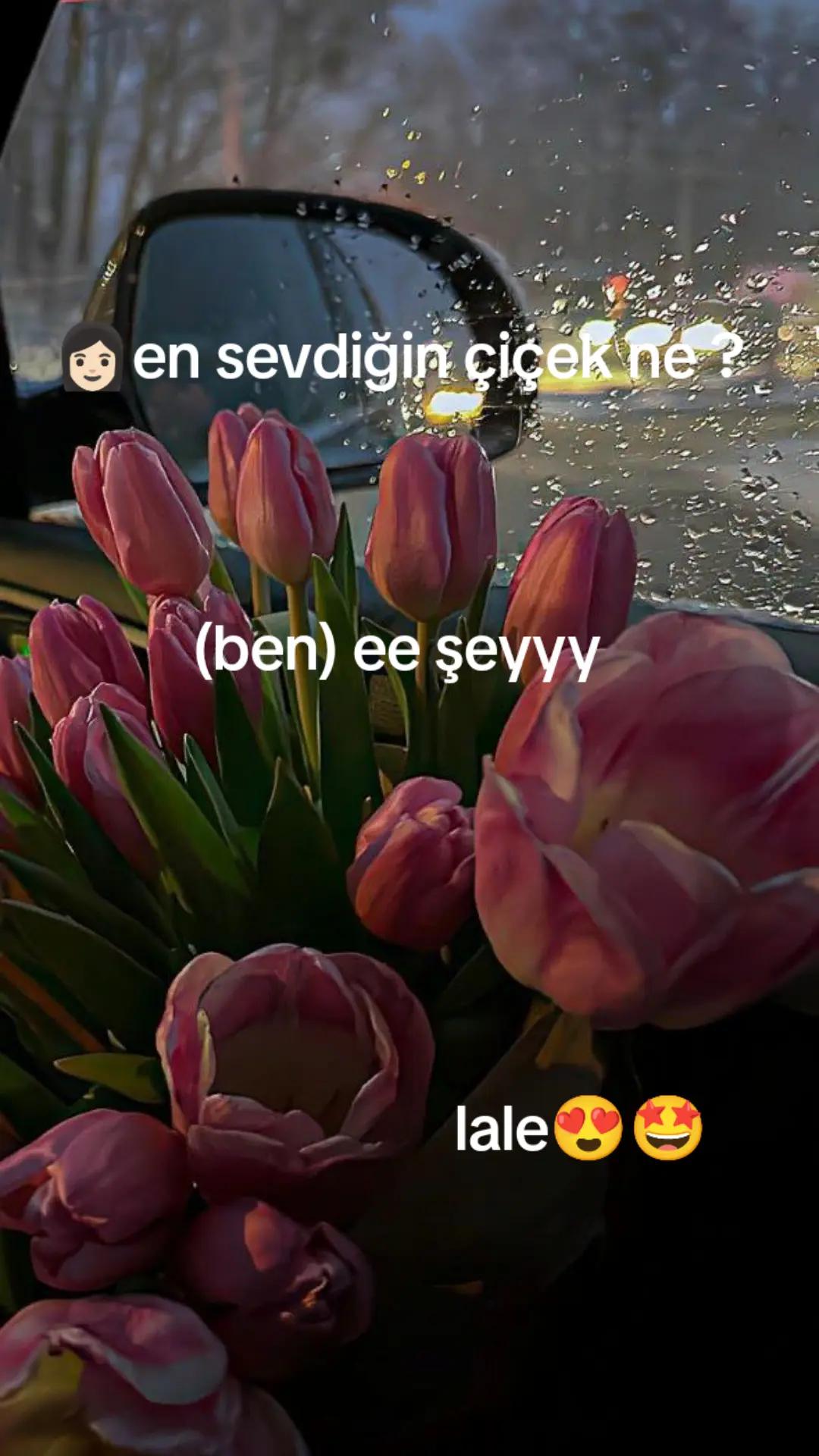 @🤎Nova🤎
