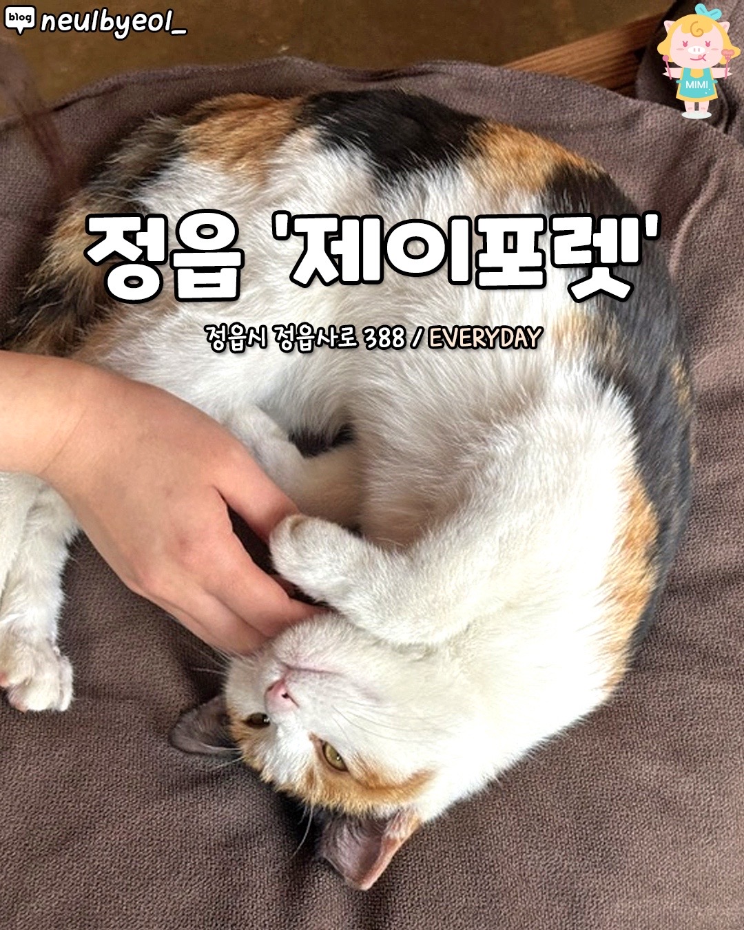 @전라도핫플