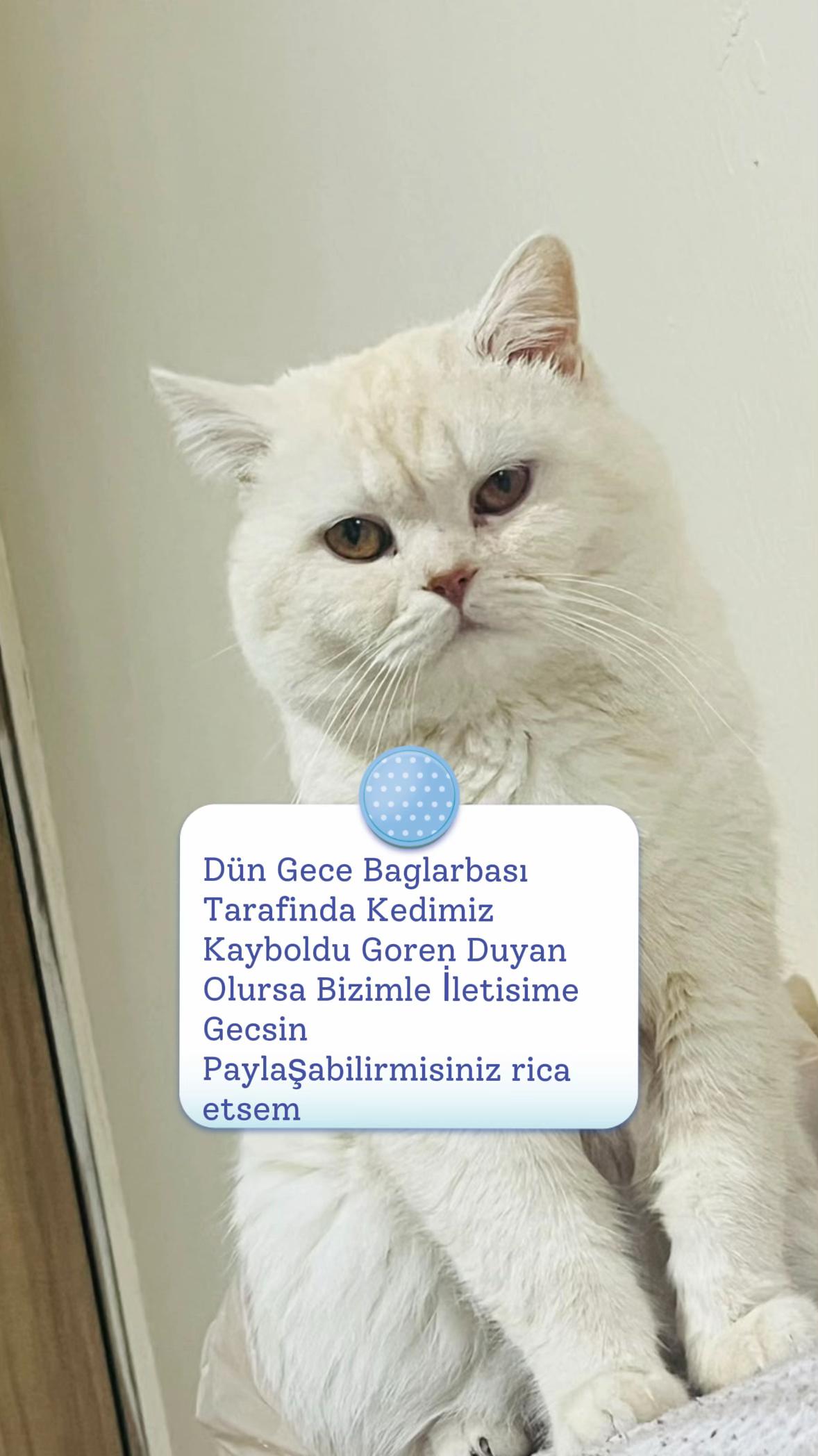 @Dilek yılmaz