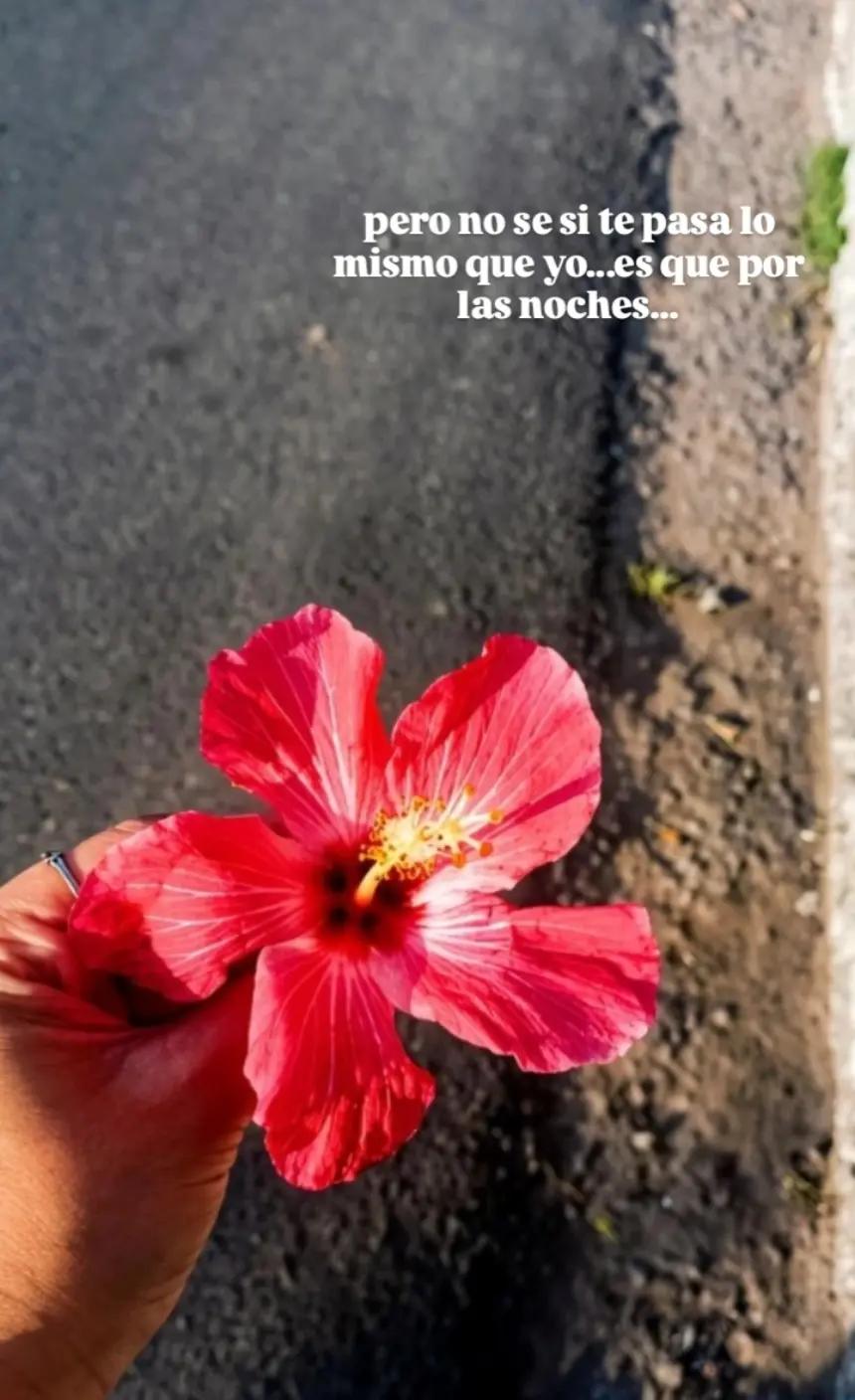 @•Melii•